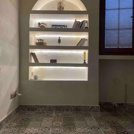 Antique Masterpiece Duplex In Besiktas Apartment *