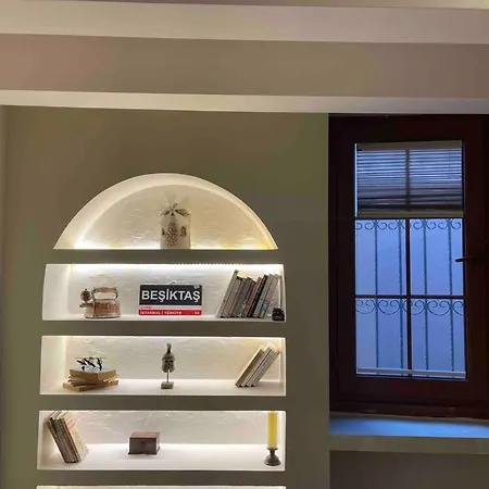 Antique Masterpiece Duplex In Besiktas Istanbul