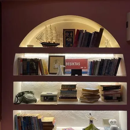 Antique Masterpiece Duplex In Besiktas Апартаменты Стамбул