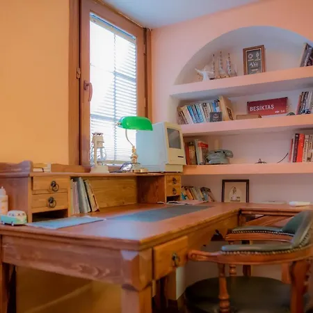 Antique Masterpiece Duplex In Besiktas Apartment