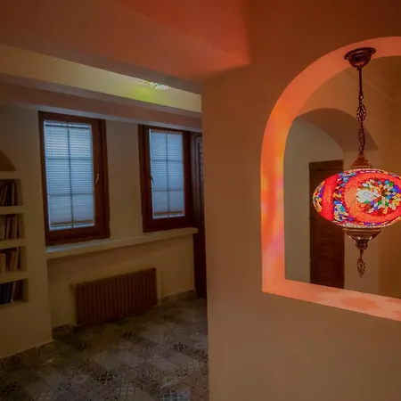 Antique Masterpiece Duplex In Besiktas Apartment