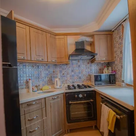 Antique Masterpiece Duplex In Besiktas Apartment